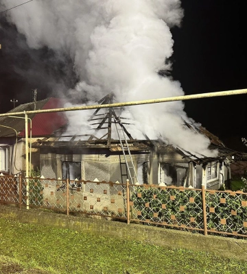 Вогнеборці гасили пожежу 2 години: на Закарпатті горів будинок (ФОТО)