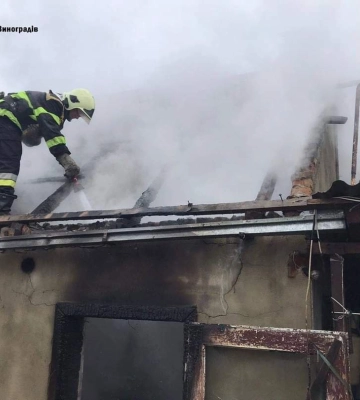 Сьогодні на Виноградівщині вирувала пожежа: вогонь приборкували дві одиниці техніки ДСНС (ФОТО)