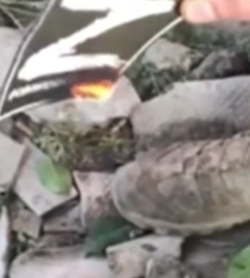 У Нацгвардії показали кадри зачистки Білогорівки на Луганщині