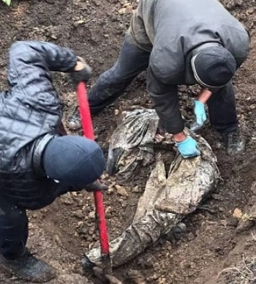 Під Херсоном знайшли поховання із застреленими працівниками сільгосппідприємства – NYT