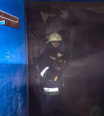 Рятувальники на Харківщині винесли з вогню кошеня 