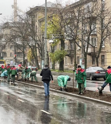 Одну з вулиць Одеси прикрасить зелена роздільна смуга