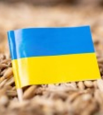&quot;Зерновую инициативу&quot; продлили на 120 дней – Кубраков