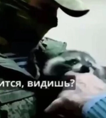 Вкрадений у Херсоні єнот вкусив колаборанта Сальдо