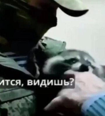 Вкрадений у Херсоні єнот вкусив колаборанта Сальдо