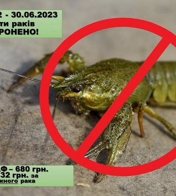 Відсьогодні на Сумщині заборонено ловити раків