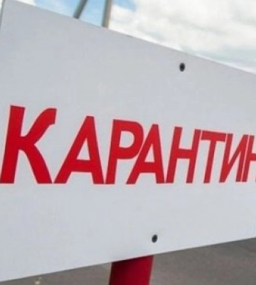 На Закарпатті у селі ввели двомісячний карантин