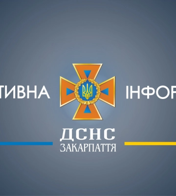 На Берегівщині вирувала пожежа: горіла літня кухня