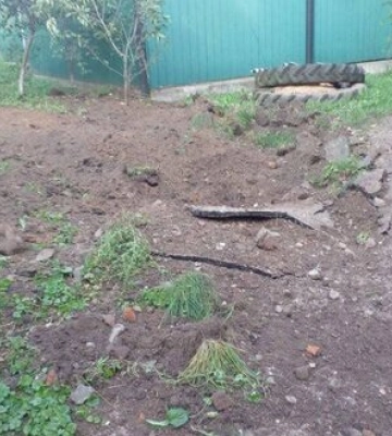 Російські війська обстріляли з мінометів прикордоння Сумщини, - ОК &quot;Північ&quot;