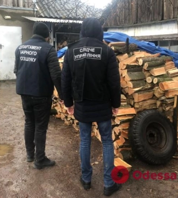 В Одесской области разоблачили преступную группу, которая занималась незаконной вырубкой и сбытом лесоматериалов