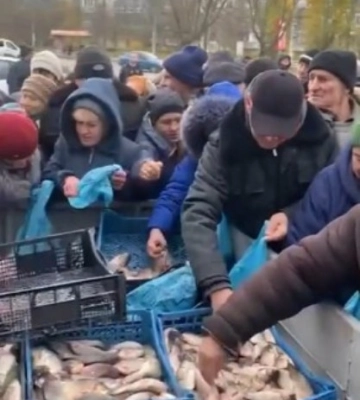 Промисловики Одещини відправили до Херсона півтонни риби