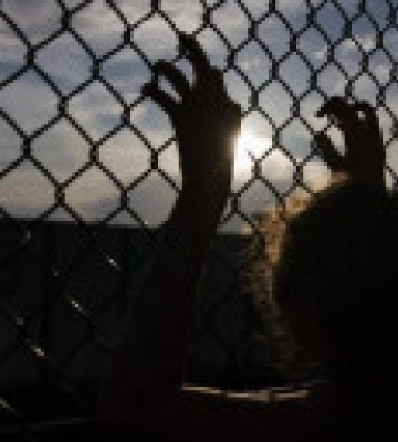 Торгівля людьми: з початку війни було 50 повідомлень щодо українців