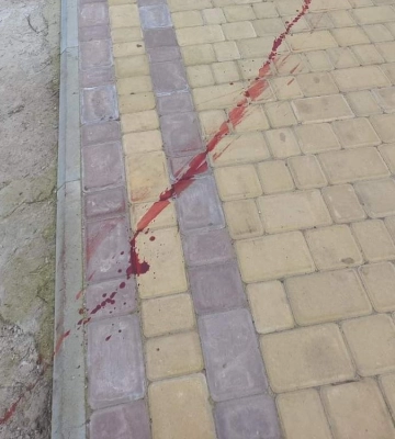 У храмі на Харківщині вбили собаку: священник звернувся в поліцію 
