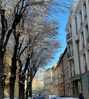 Яку погоду у Львові синоптики прогнозують 4 грудня