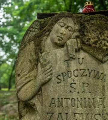 На Волині та Тернопільщині українські та польські фахівці проводитимуть пошукові роботи