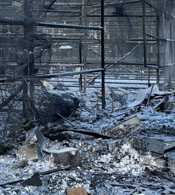 РФ обстреляла экопарк под Харьковом: ранена волонтерка, погибли пернатые