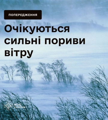 Шквальний вітер накриє Захід України: оголошено І рівень небезпеки
