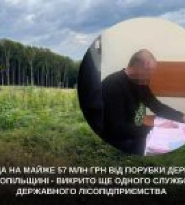 На Тернопільщині викрито службовця у незаконній вирубці 6267 дерев