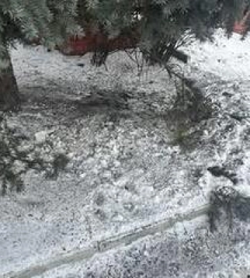 У Полтаві біля зупинки вибухнула граната