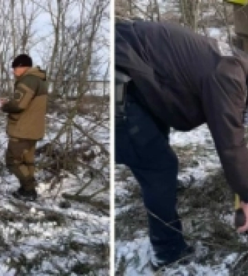 У Миколаївській області незаконно вирубали акації та дуби