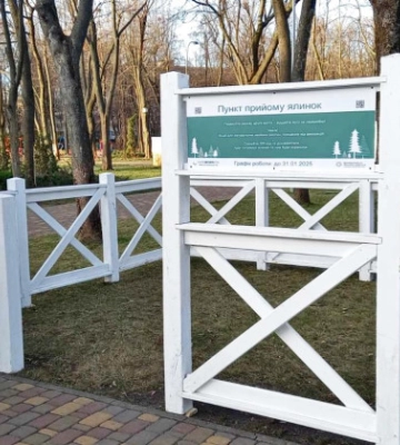 Куда сдать елку в Киеве: перечень пунктов приема