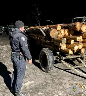 Вдруге зрізав дерева в лісі: волинський селянин заплатить десятки тисяч державі