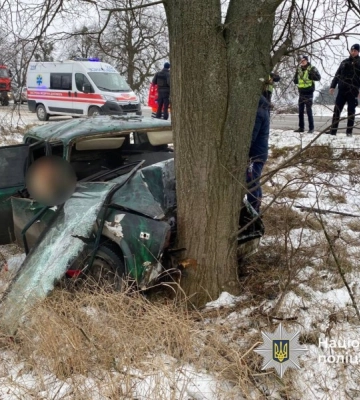 У селі на Вінниччині легковик врізався у дерево: є загибла та поранений - розпочато провадження