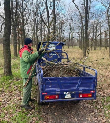 Протягом року в Одесі комунальники видалили більше двох тисяч аварійних дерев та гілок