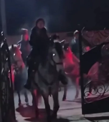У мережі показали, як на Львівщині колядують верхи на конях — відео