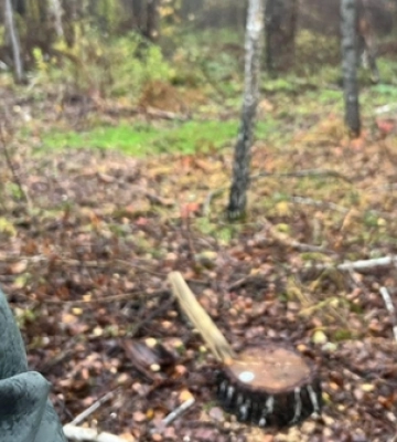 В обласному центрі Волині серед ночі вибухали петарди
