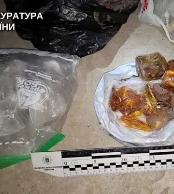 Бурштин на мільйони під виглядом волонтерської допомоги: мешканцю Вараша загрожує до 7 років тюрми