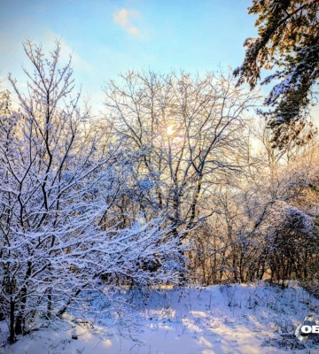 На Харків йде сніг та крижаний дощ