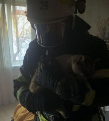 У Львові під час пожежі в багатоповерхівці рятувальники врятували кота