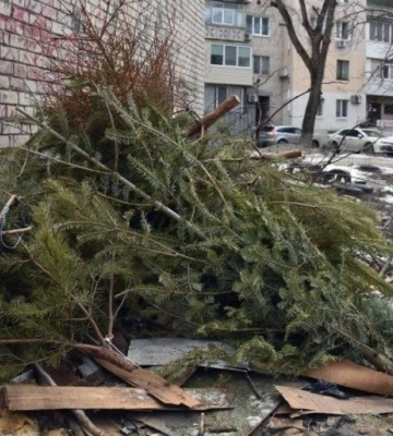 Полтавців закликають залишати новорічні ялинки та сосни поблизу майданчиків для сміттєвих контейнерів