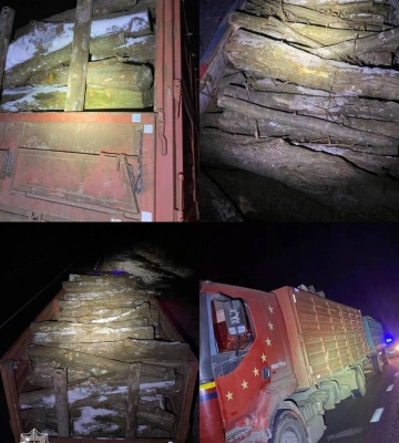На Дубенщині патрульні зупинили вантажівку з деревиною без документів