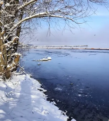 Екоінспекція оцінила стан Ладижинського водосховища після викиду мазуту