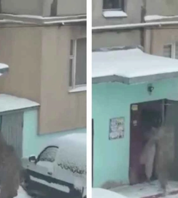 На Ровенщине военные ТЦК задули слезоточивым газом 15-летнею девушку