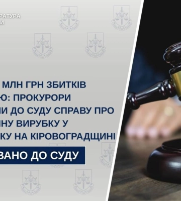 Майстра лісу, який допустив вирубку лісу у заказнику на Кіровоградщині, судитимуть