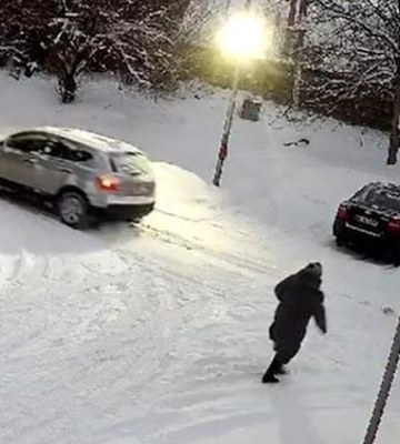 Поліція Львівщини знайшла водія, який переїхав собаку і втік: йому загрожує до трьох років
