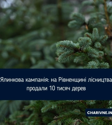 Як називали новонароджених у 2025 році на Волині, Львівщині та Рівненщині