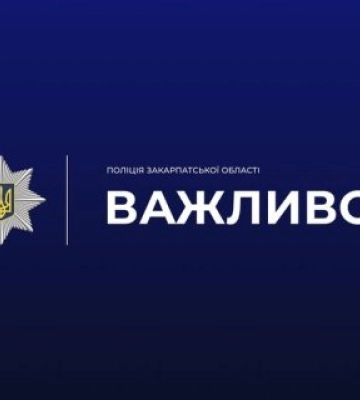 Замерзав на очах у всіх: в Ужгороді розгорівся скандал через катування собаки морозом
