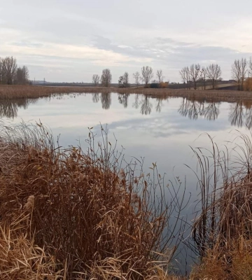 Громада на Волині віддає в оренду ставок за 117 тисяч. Фото
