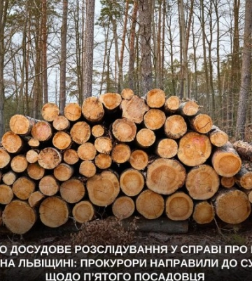 Незаконні вирубки майже на 10 млн грн: на Львівщині судитимуть посадовця лісової галузі