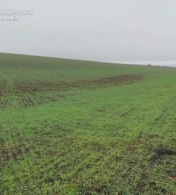 Прокурори Миколаївщини повідомили про підозру ексдиректору лісогосподарського підприємства у службовій недбалості, що завдало&amp;hellip;