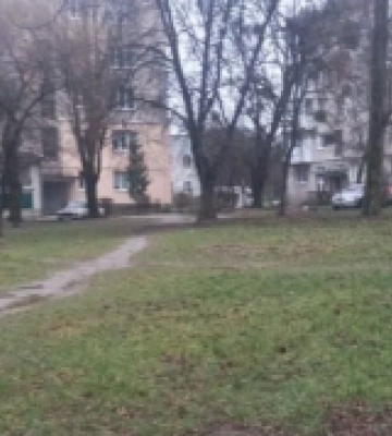 Благоустрій та паркування: на що найчастіше скаржилися лучани у 2025 році