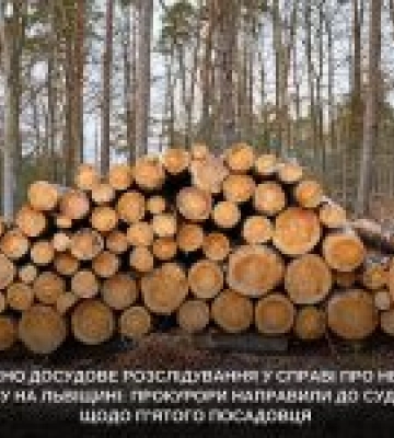 Львівська прокуратура завершила справу про незаконні вирубки на 42 млн грн