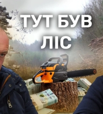 Ліс у приватні руки: як на Волині роздавали ділянки і чому це можливо
