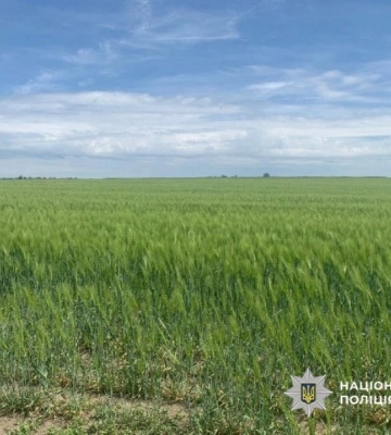 На Одещині фермер самовільно зайняв земельну ділянку сільськогосподарського призначення