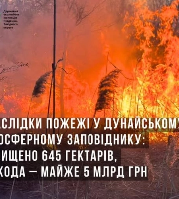 Пожежа у Дунайському біосферному заповіднику знищила 645 гектарів: збитки оцінили майже у 5 млрд грн