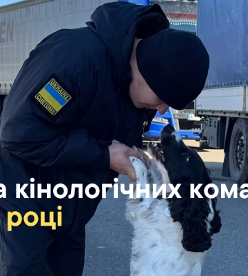 Поранення були важкими: козуля, яку відбили від собак на Волині, не вижила